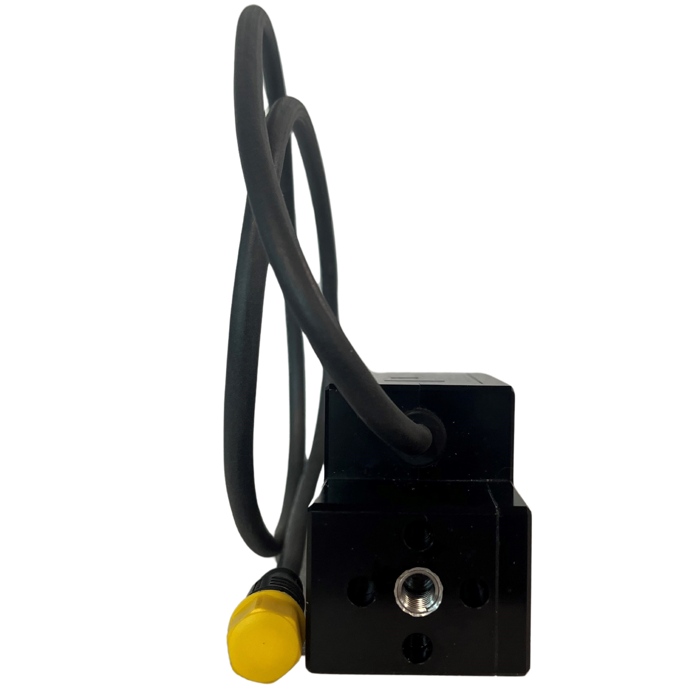 Cabled E30 - 81501263